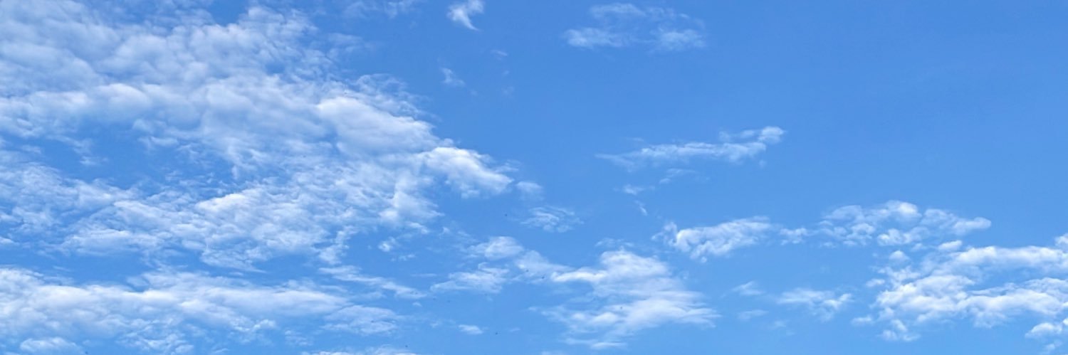 komorebichan_'s profile banner image