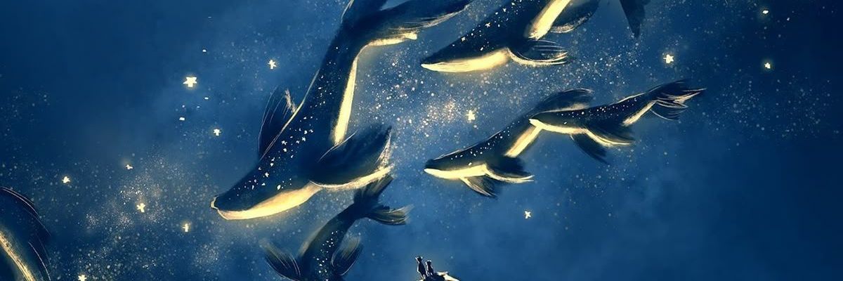 𝒛𝒊𝒛𝒊 • banner