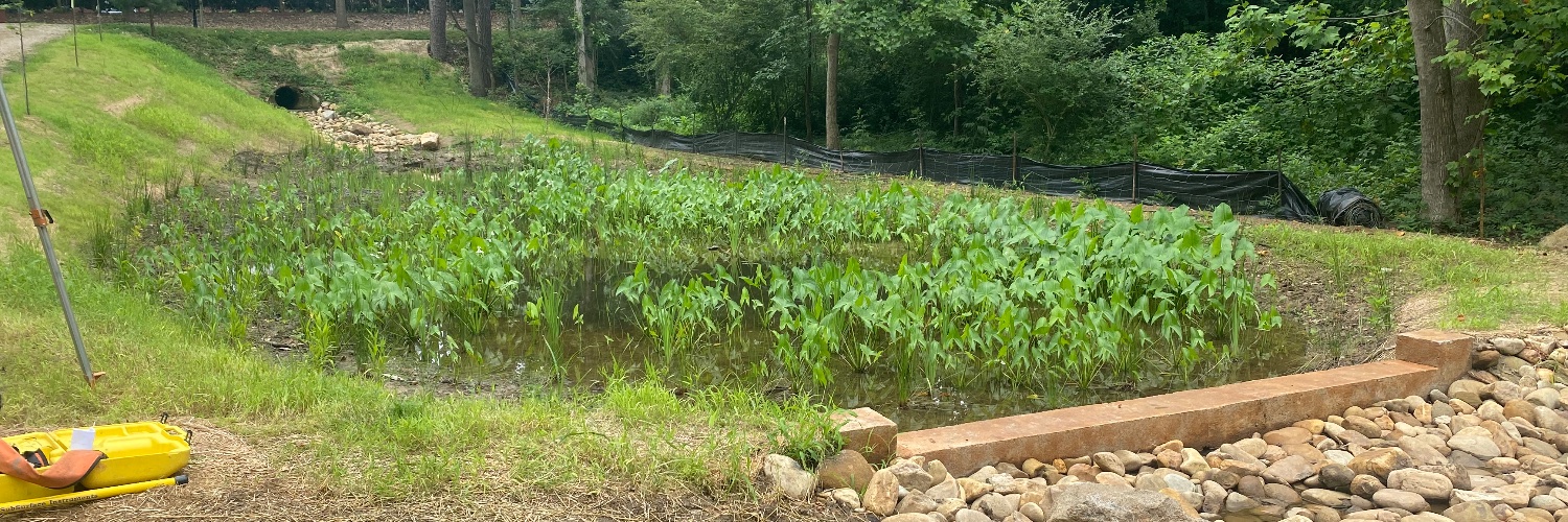 Sarah Waickowski banner