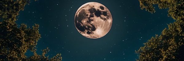 LilKimArea Profile Banner