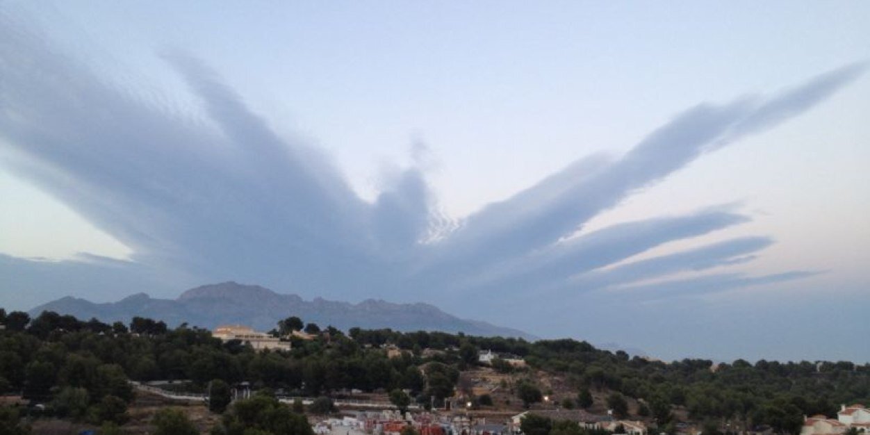 Vicente Ripoll banner