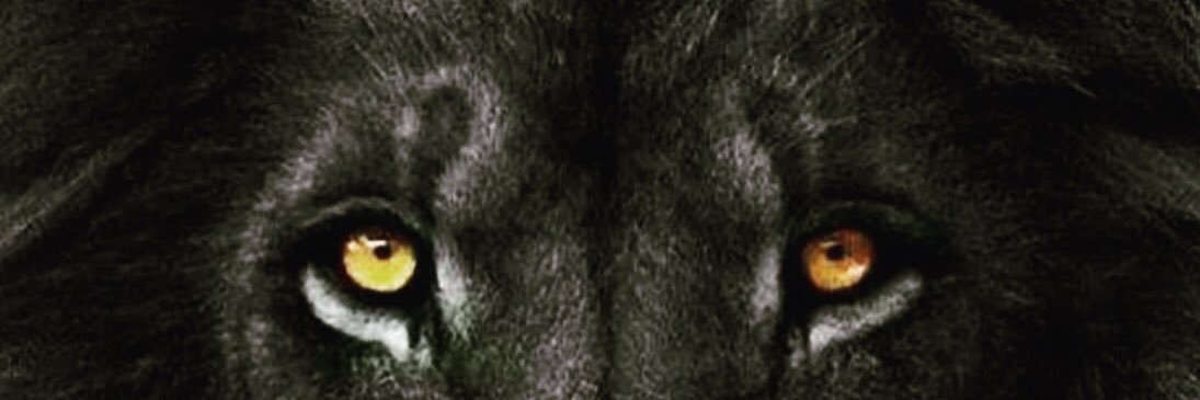 Al_Boykin's profile banner image