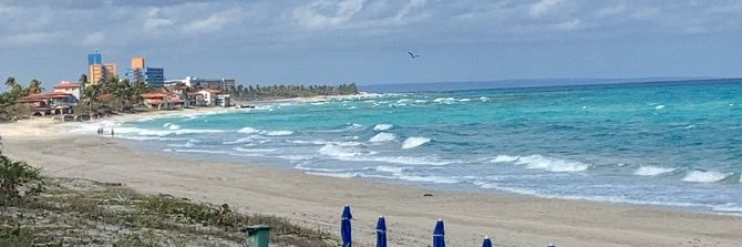 camilamaple's profile banner image