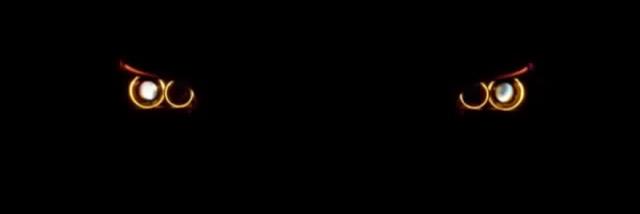 POLAT ALEMDAR banner