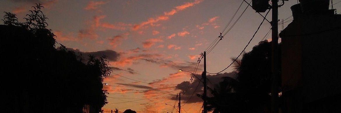 Lolipop 🐉 $MON banner