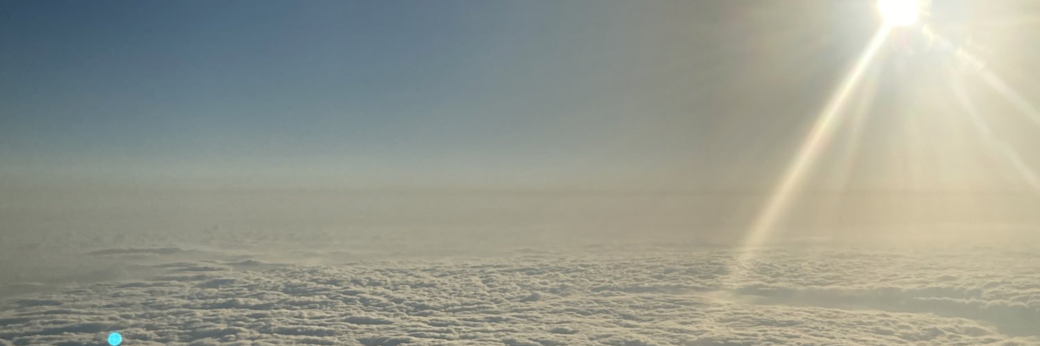Luis E Lozano SL banner