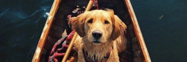 454Watson's profile banner image