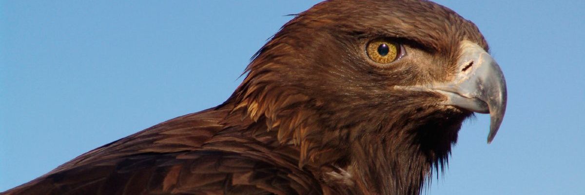 aalrg01's profile banner image