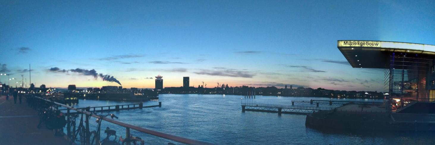 Celia Peláez banner