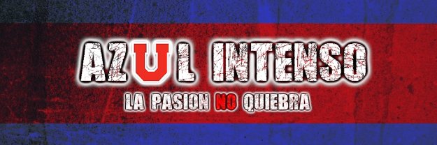 Arlequín banner