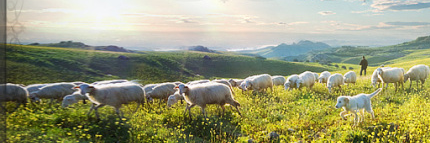 Bann1ster375's profile banner image