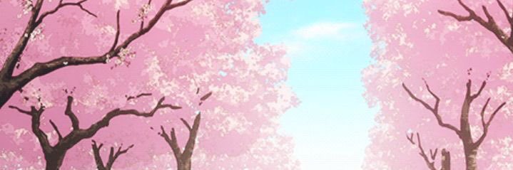 CQ1016's profile banner image