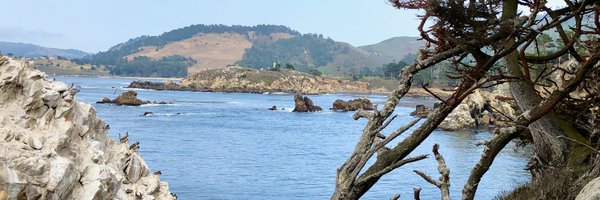 fredjet Profile Banner