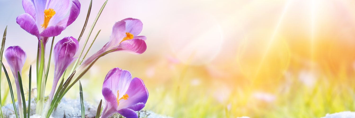 Myrontweet's profile banner image