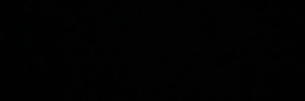 taintedlynx Profile Banner
