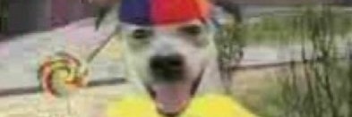 opal escaped! banner