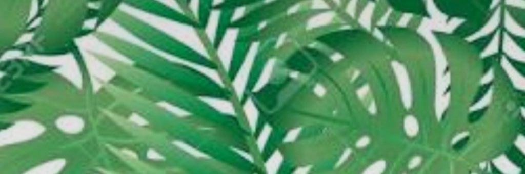 anixox2202's profile banner image