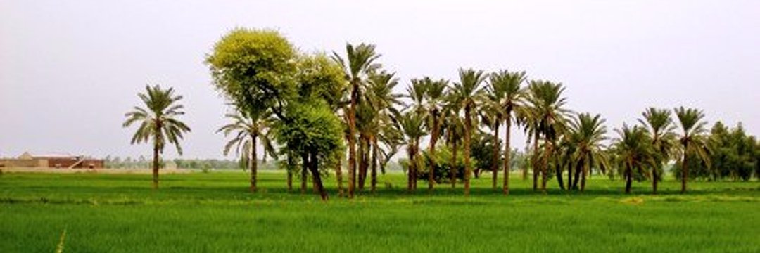 SindhiNews021's profile banner image