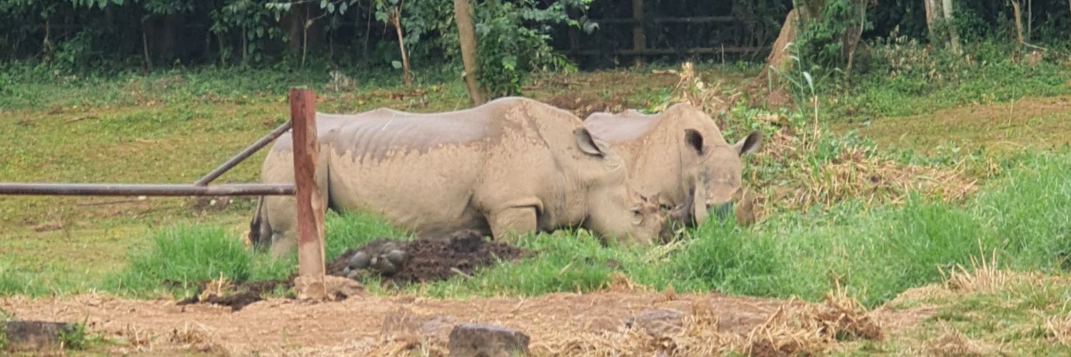 African SafariMan🇺🇬 banner