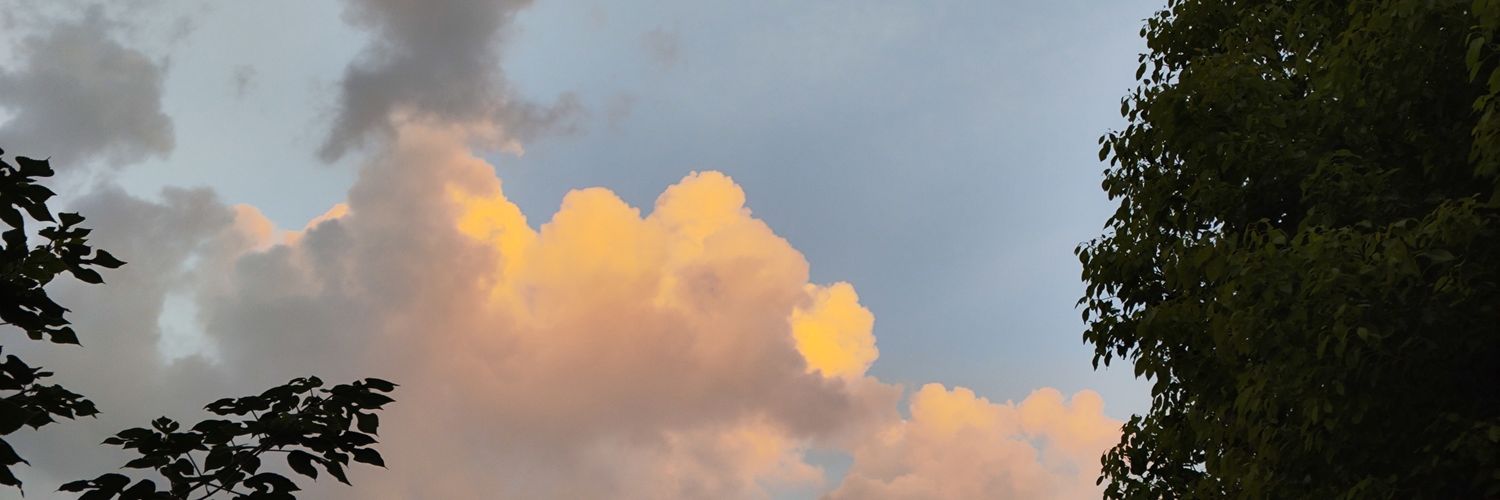 DFeng_Li's profile banner image