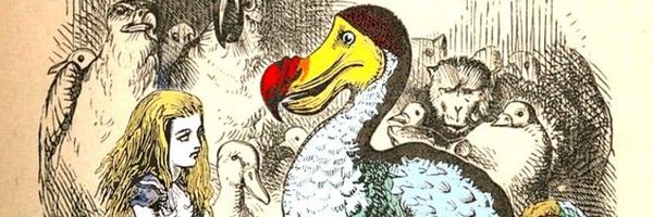 Ofior Profile Banner