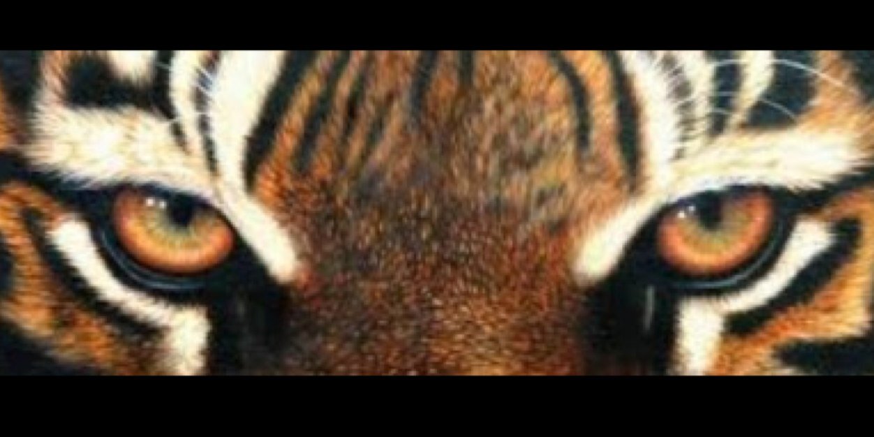 AyaaMerhej's profile banner image