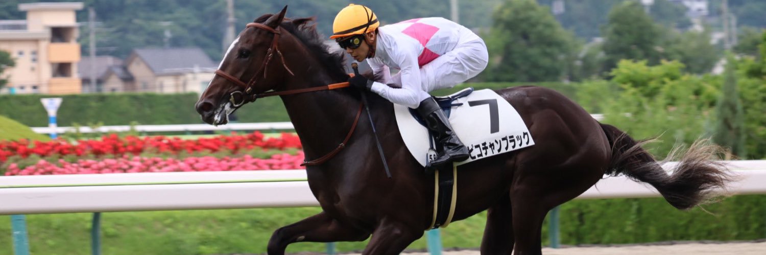 ピコレーシング banner