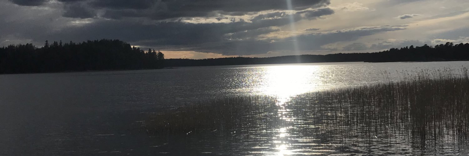 NillaStedt's profile banner image