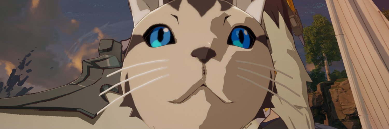 siesta_bp's profile banner image