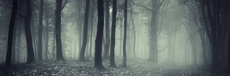 pelirojasl's profile banner image