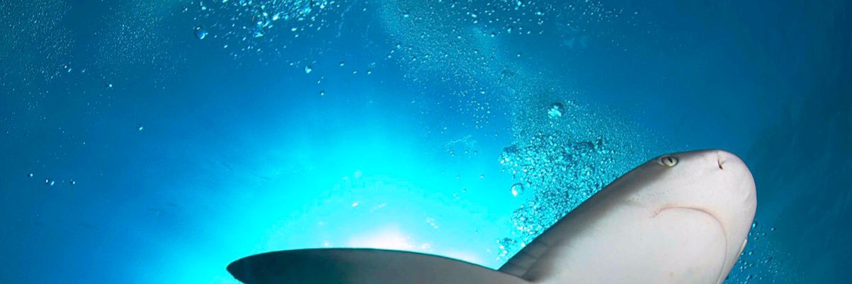 fabiolamakeup's profile banner image