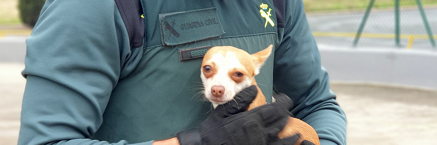 Policías por los Animales's banner