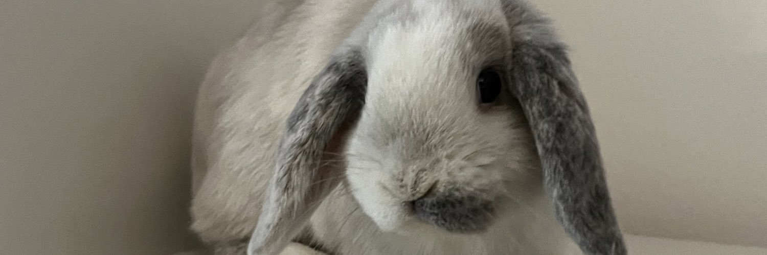natalieee_lyn's profile banner image