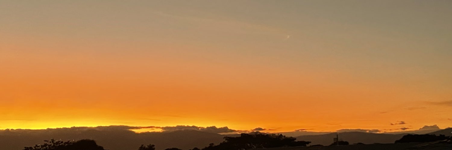 linmon_20's profile banner image