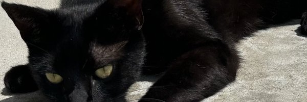 madeline_hunny Profile Banner