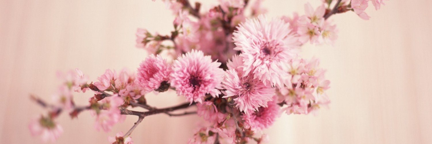 dreams7 banner