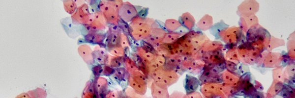 iselacaf15 Profile Banner