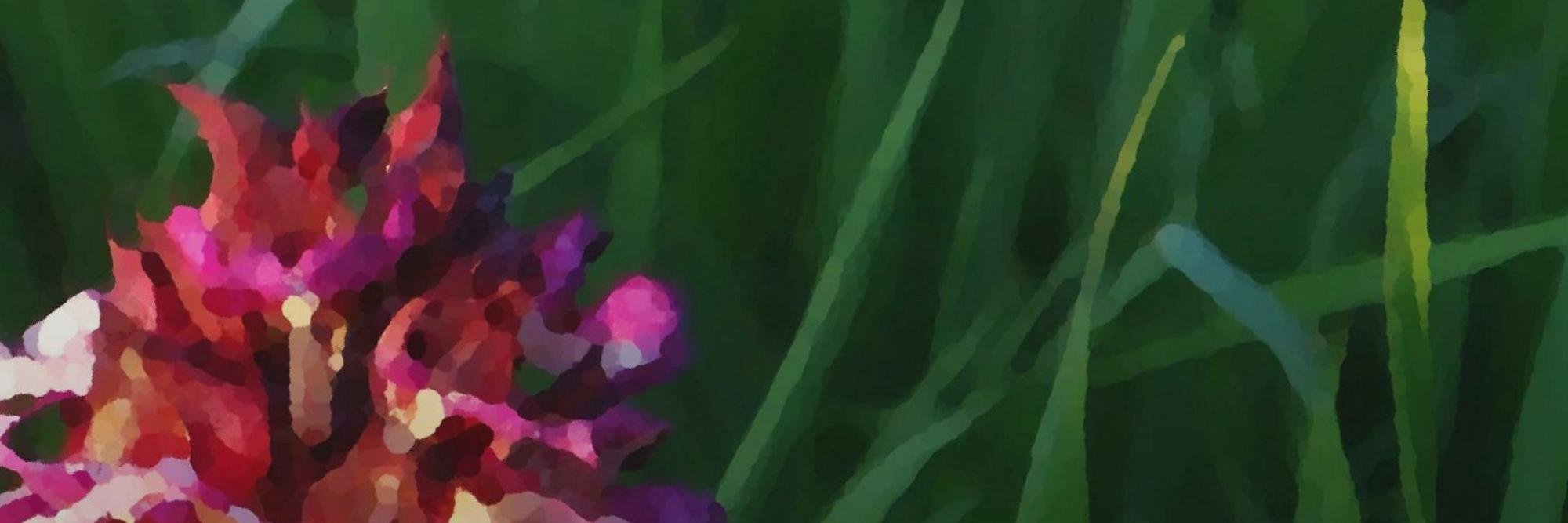 merisu's profile banner image