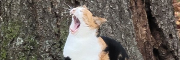 _myon__myon_ Profile Banner