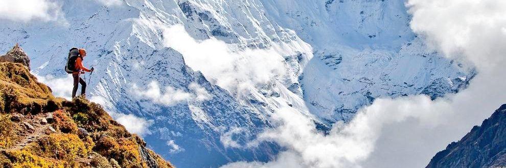 piera bianchi banner