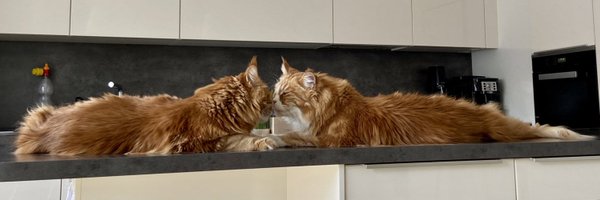 diepaul Profile Banner