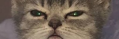 marigbrv's profile banner image