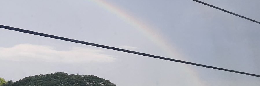 imninarodriguez's profile banner image