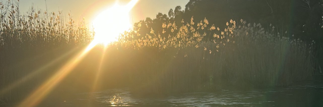 cnshzl's profile banner image
