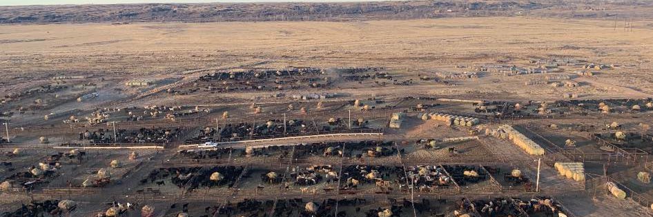 Beaver County Stockyards banner