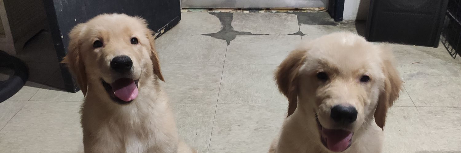 Pudgeeeeeeeebar's profile banner image