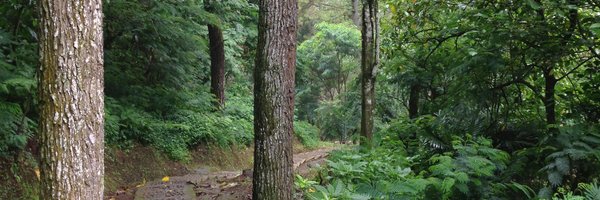 peterwr Profile Banner