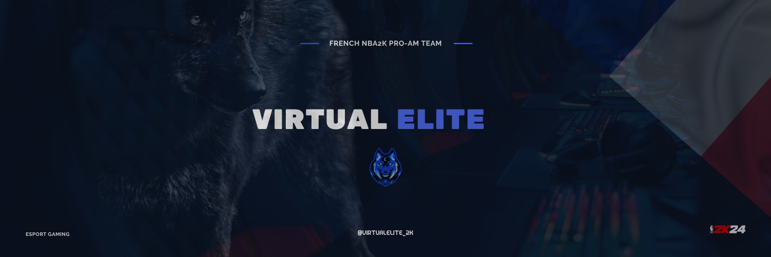 Virtual Elite banner