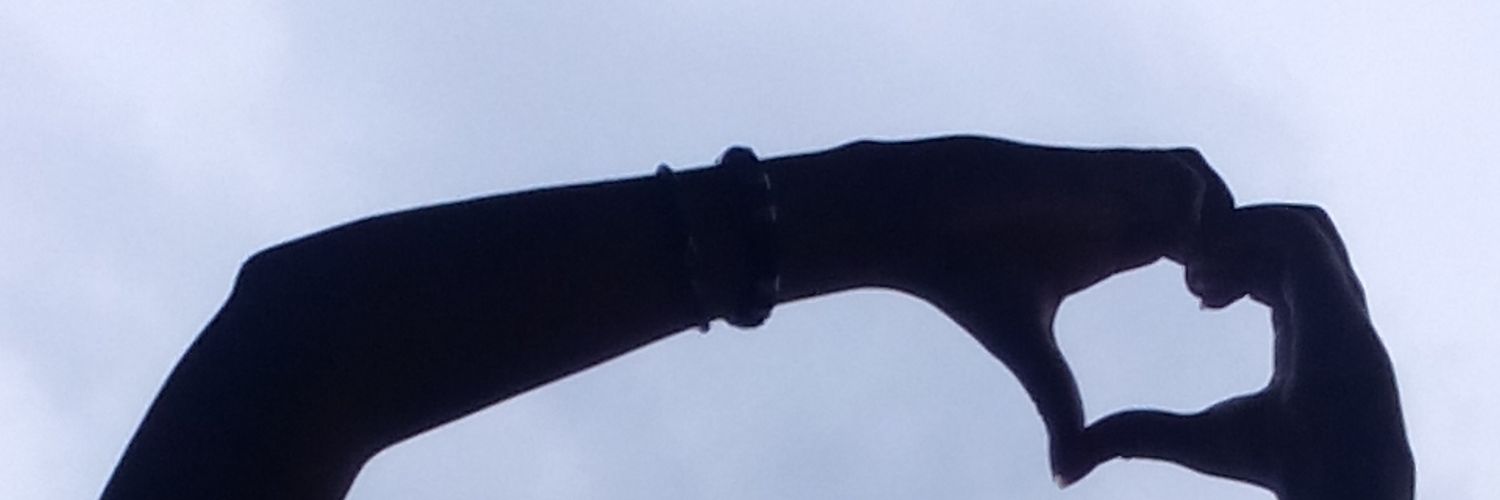 poniBri's profile banner image