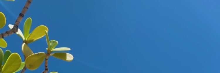 Natanaara's profile banner image